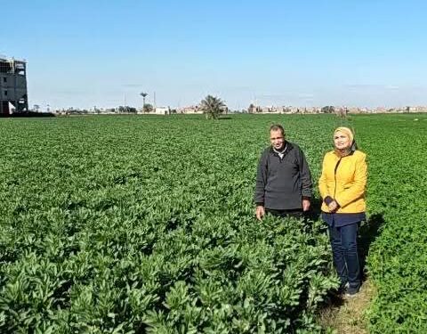 زراعة أسيوط