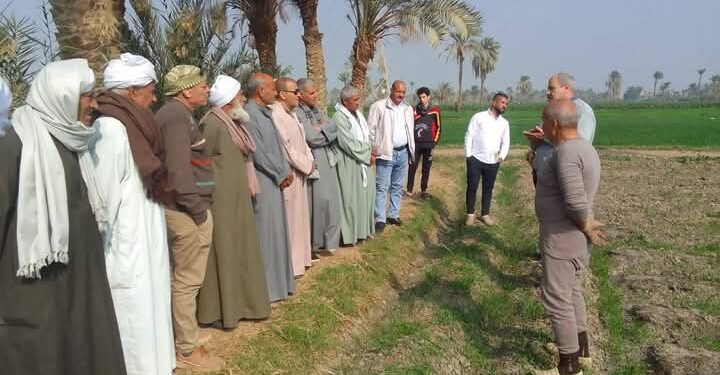 «زراعة الفيوم» : 7 مميزات لزراعة القمح على مصاطب تعرف عليها.. 1 زراعة الفيوم