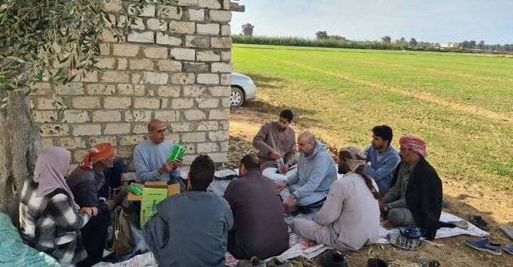 «زراعة الإسكندرية» تنفذ يوم حقل عن زراعة «القمح» على مصاطب 1 زراعة الإسكندرية
