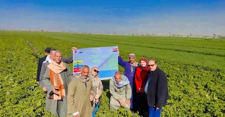 «زراعة أسيوط»: تقوم بتدريب السيدات في «كمبوها» على زراعة نبات الأزولا 1 زراعة أسيوط