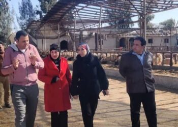 زراعة بورسعيد