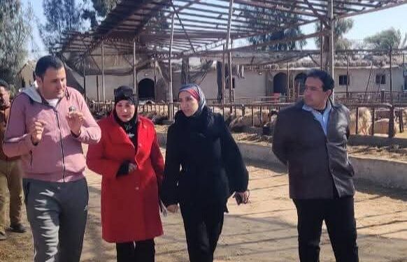 زراعة بورسعيد