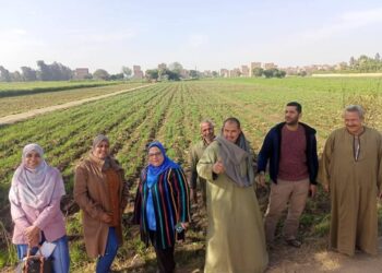 زراعة الجيزة