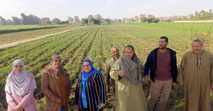 فريق إرشادي لمحصولي القمح و نخيل البلح بـ«زراعة الجيزة» 1 زراعة الجيزة