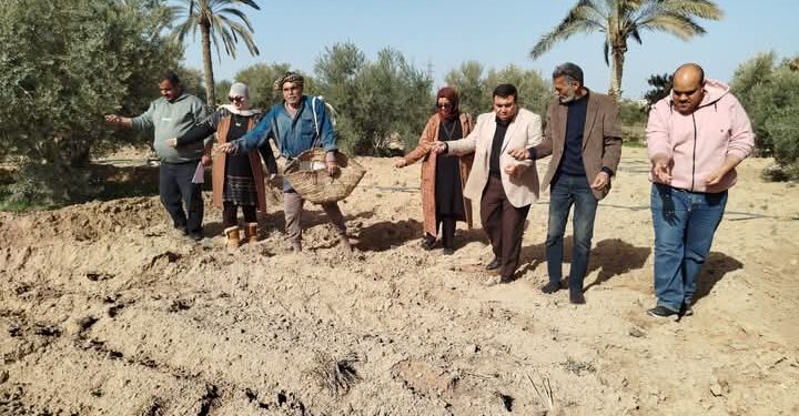زراعة شمال سيناء
