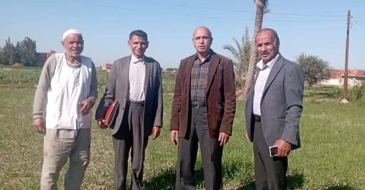 8 فرق إرشادية بـ«زراعة الإسماعيلية» لمحاصيل الشعير و الفراولة والباذنجان 1 زراعة الإسماعيلية