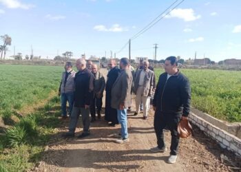 زراعة المنيا