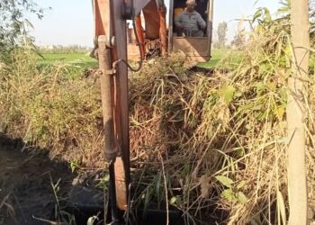 زراعة الشرقية