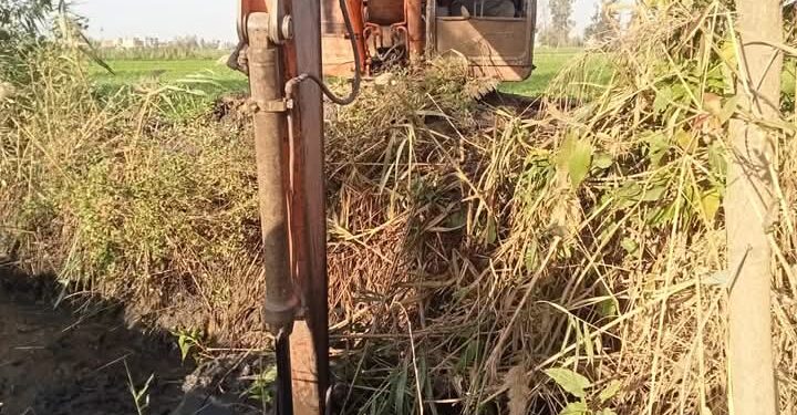 «زراعة الشرقية» تواصل تطهير المساقي..وفريق إرشادي لمحصول البصل 1 زراعة الشرقية