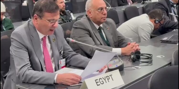 خلال كلمته في "كوب 16".. وزير الزراعة يؤكد حرص مصر على تنفيذ الإلتزامات تجاه المعاهدات البيئية العالمية 1 خلال كلمته في “كوب 16”.. وزير الزراعة يؤكد حرص مصر على تنفيذ الإلتزامات تجاه المعاهدات البيئية العالمية