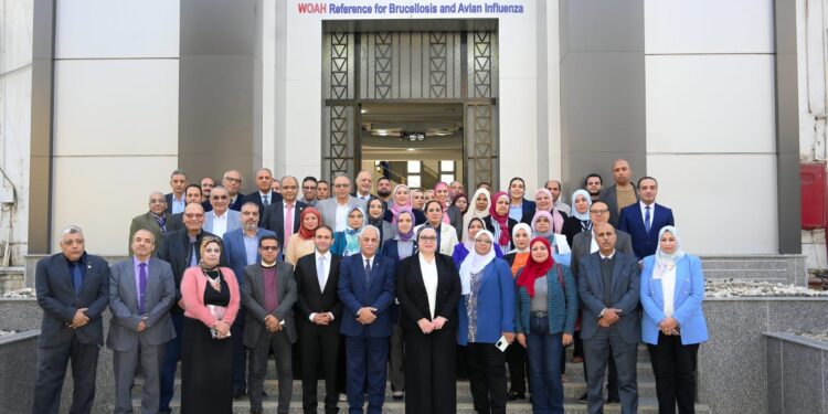 بحوث الصحة الحيوانية ومنظمة الصحة العالمية تنظمان لقاء علمي عن الصحة الواحدة 1 الصحة الحيوانية