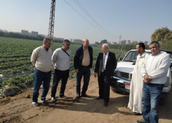 زراعة الشرقية