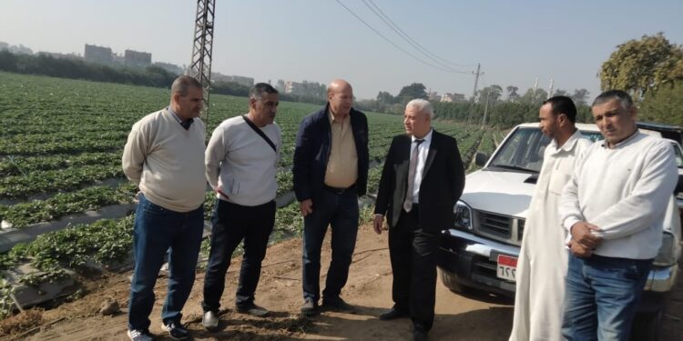لجنة فنية من وزارة الزراعة تزور «زراعة الشرقية» لمكافحة حشائش القمح 1 زراعة الشرقية