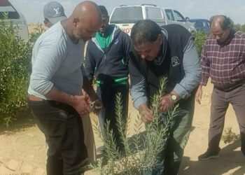 بحوث الصحراء