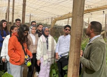 بحوث الصحراء