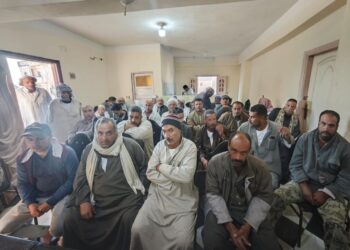 الزراعة: نشاط مكثف في إزالة التعديات وتطهير المساقى والمراوي والخدمات الإرشادية
