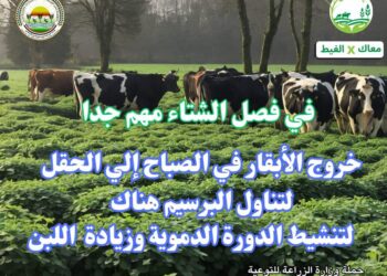 معاك في الغيط