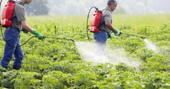 البحوث الزراعية