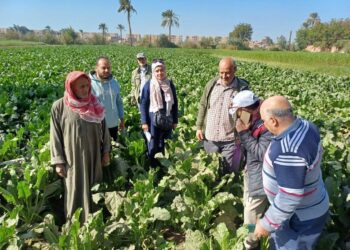 البحوث الزراعية