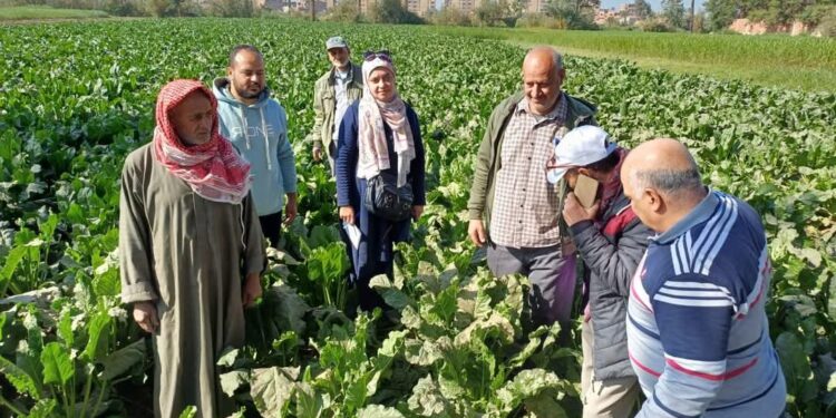 البحوث الزراعية يستعرض أنشطة المراكز الإرشادية الزراعية منذ بداية ديسمبر 1 البحوث الزراعية