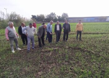 مكافحة الآفات