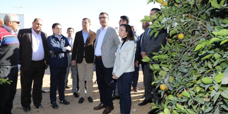 وزيرا الزراعة بمصر والأردن يتفقدا محطات ومزارع تصدير الموالح بالنوبارية 1 تصدير الموالح بالنوبارية