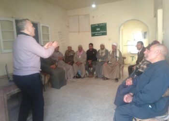 الإدارة المتكاملة للآفات الحشرية