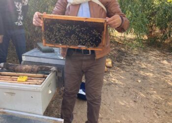 بحوث الصحراء