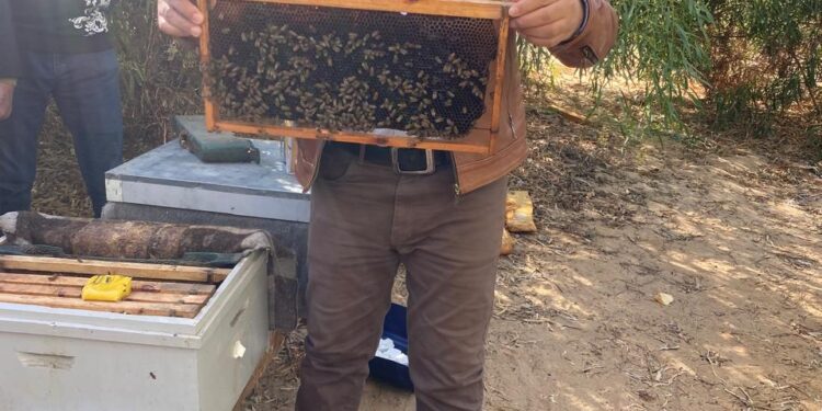 بحوث الصحراء