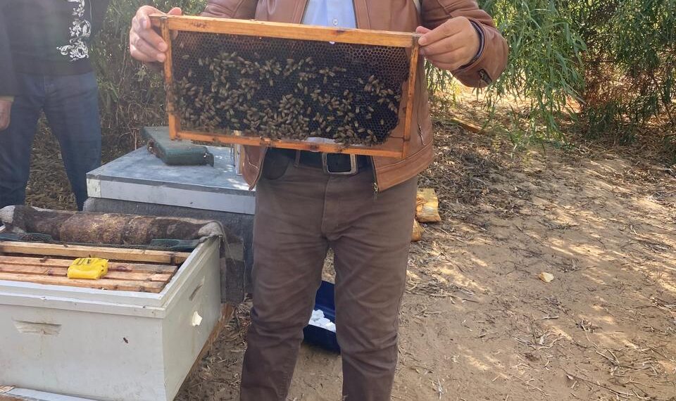 بحوث الصحراء