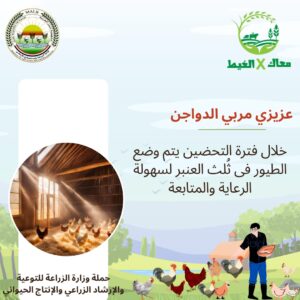 IMG 20241229 WA0020