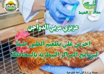 معاك في الغيط