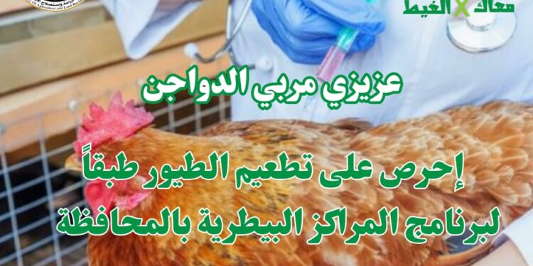 "معاك في الغيط" تنشر توصيات هامة لرعاية الدواجن في فصل الشتاء 1 معاك في الغيط