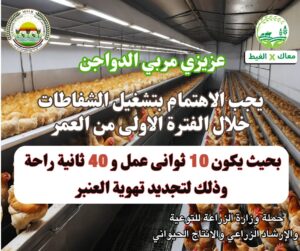 IMG 20241229 WA0023