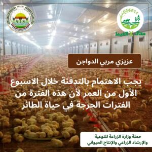 IMG 20241229 WA0024