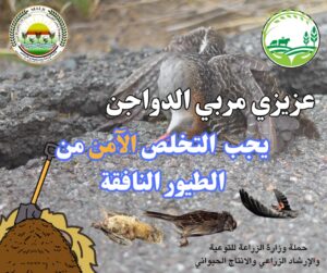 IMG 20241229 WA0027