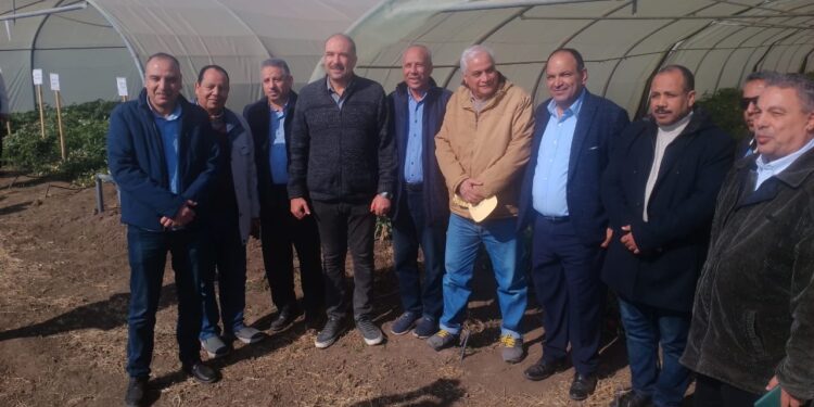 «البحوث الزراعية» ينظم يوم حقلي لمشاهدة 15 صنف وهجين جديد من الطماطم ببني سويف 1 البحوث الزراعية