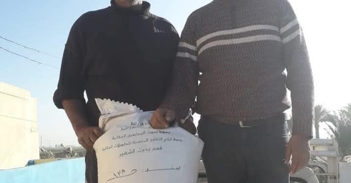«زراعة بورسعيد» تواصل زراعة الحقول الإرشادية..وتبدأ معاينة طلبات تراخيص المباني 1 زراعة بورسعيد