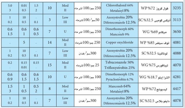 Screenshot ٢٠٢٤١٢٢١ ٢١٠٣١٥ CamScanner