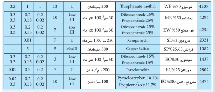 Screenshot ٢٠٢٤١٢٢٢ ٢٣٥٠٠٨ CamScanner