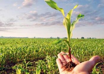 الإرشاد الزراعي