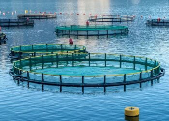 الاستزراع السمكي