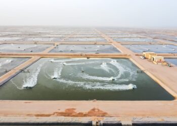 الاستزراع السمكي