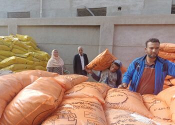 زراعة البحيرة