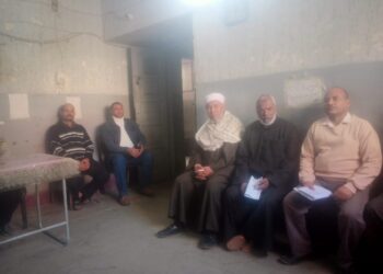 زراعة المنيا