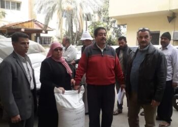 زراعة بورسعيد
