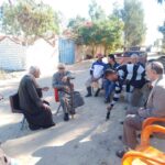 فرق إرشادية لمحاصيل النباتات العطرية والفلفل والباذنجان بـ«زراعة الإسماعيلية»: 12 زراعة الإسماعيلية