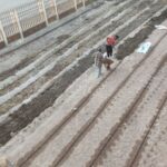 «زراعة البحر الأحمر»: تطوير و رفع كفاءة المركز الإرشادي بقرية وادي دارا 12 زراعة البحر الأحمر