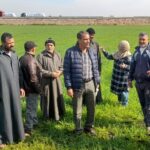 3 فرق إرشادية لتدوير المخلفات..ومحصولي البنجر و القمح بـ« زراعة بورسعيد » 12 زراعة بورسعيد