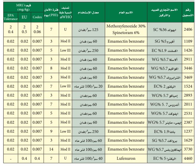 برنامج مكافحة دودة ورق القطن على الطماطم